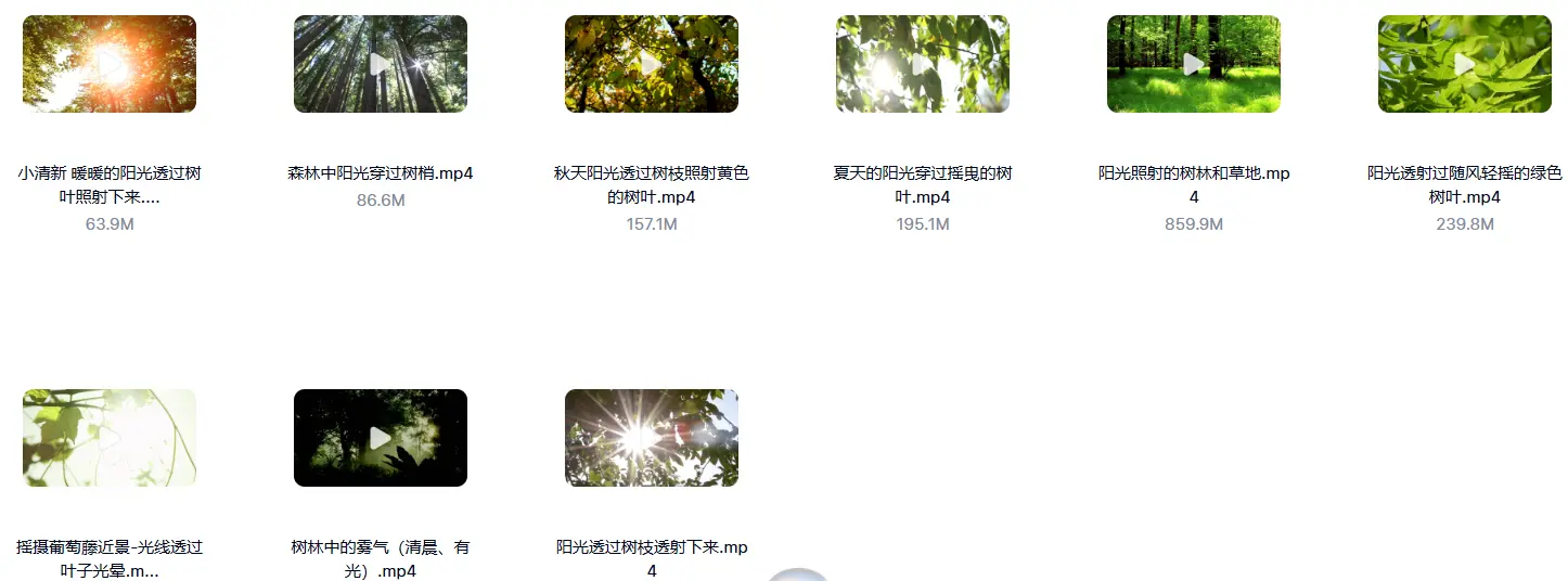 精选33款清晨阳光树叶唯美小清新视频素材 第4张 精选33款清晨阳光树叶唯美小清新视频素材 第4张